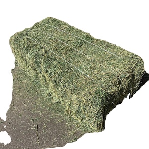 alfalfa hay high protein 60% alfalfa hay for sale