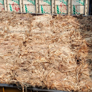 Fibra de Yute Cruda Ecológica de Alta Calidad BTCB Premium, Corte de Primera Calidad para Exportación Mundial, Precio Económico, Bangladesh JF Trading Int - Product Image 4