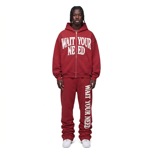 Chándal Personalizado para Hombre, Sudadera con Capucha de Felpa Bordada de Gran Tamaño, Pantalones Deportivos de Algodón de 450 GSM, Chándal con Cremallera para Invierno - Product Image 1