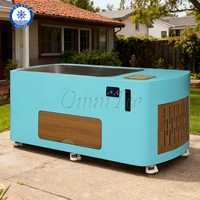 Bain de glace professionnel intelligent à couleur personnalisable avec refroidisseur intégré pour piscine, pour athlètes et usage extérieur en salle de sport