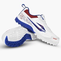 Chaussures de cricket DSC, chaussures de sport professionnelles haut de gamme, haute adhérence, légères, design performant pour l'entraînement et les matchs