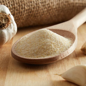 Poudre d'ail de qualité supérieure en gros, vente en vrac, qualité alimentaire premium, stock disponible, approvisionnement pour l'exportation - Product Image 1