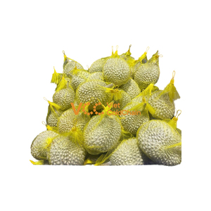 Durian entier congelé en gros, prix direct usine, approvisionnement en grande quantité - Product Image 1