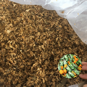 Venta Especial de Fábrica en Vietnam: Ensilaje de Cáscara de Piña de Primera Calidad para Alimentación de Ganado, Empacado en Bolsas de PE - Product Image 1