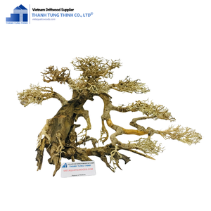 Decoración de Acuario de Raíz Circular Hueca de Madera Natural Thanh Tung Thinh, Adorno Ecológico Moderno para Pecera de Dormitorio - Product Image 4