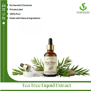 Premium Tea Tree Liquid <b>Extract</b> for Global B2B Trade Commercial Packaging and Consistent Manufacturing Supply Requirements - Product Image 1