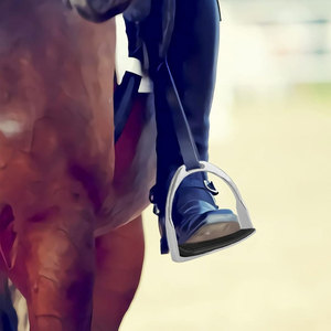 Estribos de Montar a Caballo de Alta Resistencia BLUEHANDS INTERNATIONAL, Diseño de Logotipo Personalizado, Calidad Premium, Suministro al por Mayor - Product Image 4