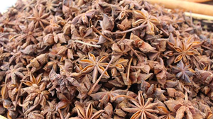 NUEVA TEMPORADA 2026 Anís estrellado seco de Vietnam, vainas enteras, bolsa de 6 oz, especias al por mayor para la fabricación de alimentos - Product Image 2