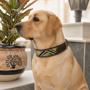 Western Hand Tooled Leather Dog Collar Skull Hand Tooled Pet Collars Wholesale - Product Image 6
