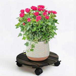 Support à fleurs circulaire en bois d'acacia MPL avec roulettes pour plantes d'intérieur, utilisation domestique et jardin, design minimaliste, diamètre 30 cm, capacité 60 kg - Product Image 6