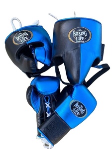 Precio al por mayor RTS, calidad premium, conjunto de boxeo personalizado No Boxing No Life, conjunto de entrenamiento y sparring de cuero vacuno AS-SP-904 - Product Image 2