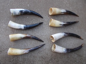 Par de Cuernos de Búfalo Pulidos para Decoración de Pared, Diseño Art Deco, Grandes de 27 a 35 Pulgadas, para Bodas, Cumpleaños, Aniversarios - Product Image 5