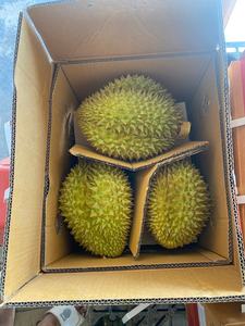 Vente chaude de fruits frais Durian fabriqués au Vietnam de haute qualité prêts à exporter WA84786436556 - Product Image 2
