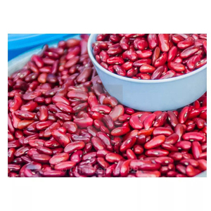 Frijoles Rojos de Alta Demanda para Comercio Internacional, Distribución de Alimentos y Mercados Agrícolas Mayoristas - Product Image 2