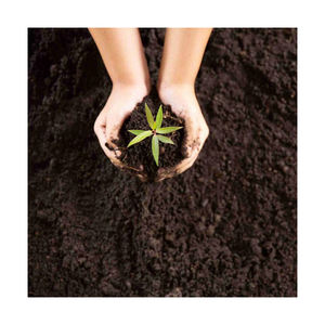 Vermi compost <b>soil</b> wholesale improves <b>plant</b> immunity and overall <b>soil</b> health - Product Image 1