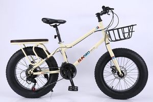 Bicicleta Híbrida con Llantas Gruesas de 20 Pulgadas, Cuadro de Acero, Frenos de Disco, con Canasta Delantera y Asiento Trasero para Desplazamientos Diarios - Product Image 2