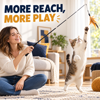Aifei Accessoire de jeu pour chat, baguette de chat en PVC avec fil d'acier, manche en bois, tige télescopique à deux ou trois sections