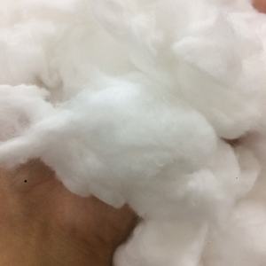 Cotton & comber noil blanchi d'une usine textile à prix négociable et de haute qualité pour la filature de coton et de fils-Florence - Product Image 6