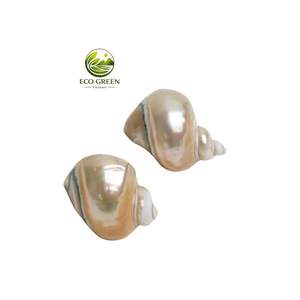 Juego de Servilleteros Modernos Estilo Costero Chic con Conchas, Plata Pulida, Conchas Iridiscentes Turbo, Decoración Premium para Mesa de Casa de Playa - Product Image 1