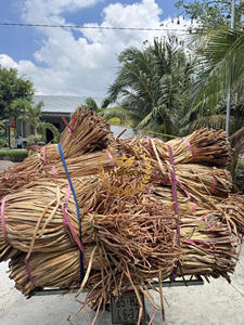 PRECIO MUY BARATO MATERIA PRIMA ECOLÓGICA AGUA SECA JACINTO CANTIDAD A GRANEL DE MUY ALTA CALIDAD DE VIETNAM - Product Image 3