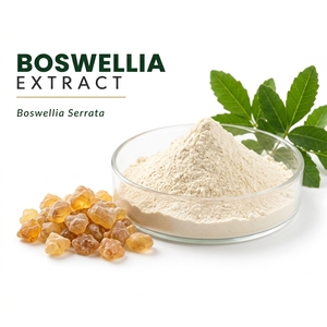 Extracto de Boswellia Serrata en Polvo, Extracto de Planta para Suplementos Dietéticos y Formulaciones Herbales - Product Image 1