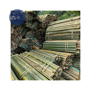 Postes de Bambú Ecológicos de Alta Calidad para Jardín, Soporte para Plantas, Bambú Azul Personalizable - Product Image 1