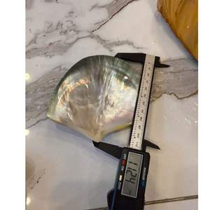 Plato de Concha de Mar con Efecto Brillante, Hecho de Concha de Ostra, Venta al por Mayor, Mejor Precio, Plato para Pastel de Nácar - Product Image 3