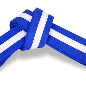 Ceintures de karaté respirantes, personnalisées avec logo OEM, pour hommes et femmes, de haute qualité, fabriquées par un fabricant d'arts martiaux, nouvelle arrivée, best-seller - Product Image 2