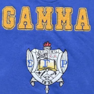 Sweat-shirt d'hiver Sigma Gamma Rho en chenille avec motif au dos, 100 % coton, bleu, pour femme, avec lettres grecques brodées, col rond, haut de gamme - Product Image 5