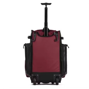 Bolsas de Béisbol Personalizadas de Primera Calidad para Equipos Deportivos, Mochilas de Softbol para Jóvenes y Adultos, Logotipo Personalizado, Capacidad de 30-40L - Product Image 4