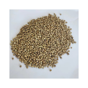Semillas de Cilantro Enteras y Partidas, Paquete de 100 kg, Crudas, Vida Útil de 2 Años - Product Image 5