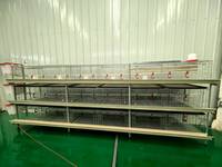 Cage à poulets à 3 étages, structure robuste, gain de place, économique pour les fermes avicoles commerciales HJ-HC60