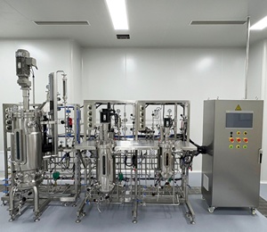 Fermenteur de bioréacteur en acier inoxydable à l'échelle pilote Bailun 300L sans risque de lixiviation ou de dégradation des matériaux. - Product Image 4