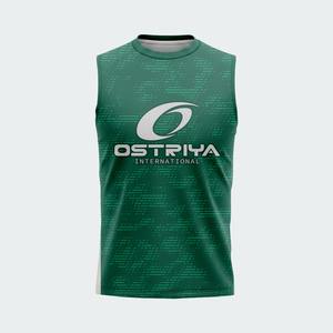 Sudadera sin mangas de nuevo diseño, precio económico, sudadera para hombre al por mayor, sudadera ligera de tela cómoda para hombre - Product Image 1