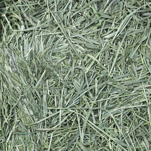 <b>Cheap</b> Top Quality Alfafa Hay for Animal Feeding <b>Stuff</b> Alfalfa hay/Timothy hay Animal Feed with Best Quality online - Product Image 5