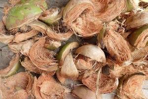 Cáscara de Coco Seca Premium, Materia Prima Natural para la Producción de Carbón Vegetal y Carbón Activado - Product Image 6