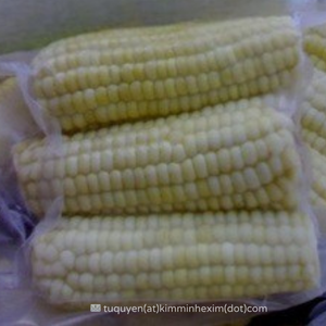 ข้าวโพดหวานต้มสุกทั้งลูกแช่แข็ง IQF คุณภาพพรีเมียมจากเวียดนาม - Product Image 6