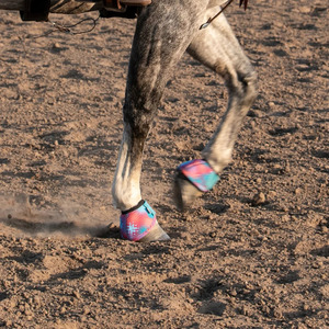 Botas Protectoras para Caballos de PVC y Neopreno con Diseño Personalizado y Colorido, Estilo Deportivo, con Logotipo Personalizado - Product Image 2