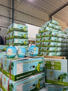 Cocos Semidescascarillados Premium y Cocos Jóvenes Frescos, Fruta con Alto Contenido de Hidratación, Ofertas al por Mayor - Product Image 5
