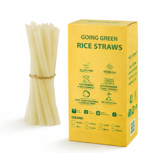 Pailles en bambou écologiques de haute qualité de 8 mm pour le riz, vaisselle jetable pour les fêtes, emballage en carton en vrac en provenance du Vietnam - Product Image 2