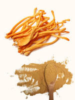 Poudre de Cordyceps Pure, Extrait Naturel de Plantes, Qualité Supérieure, Stimulant Immunitaire pour Compléments Alimentaires et Nutraceutiques