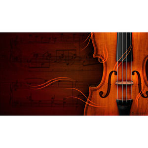 Juego de Cuerdas Metálicas Recubiertas Impermeables de Alta Calidad y Durabilidad para Accesorios de Guitarra - Product Image 2