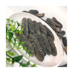 Pepino de Mar Seco al Por Mayor a Precio Económico - Product Image 2