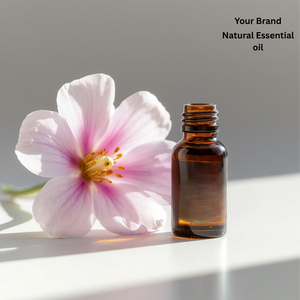 น้ำมันหอมระเหยดอกแอมเบรตธรรมชาติจากผู้ค้าส่ง น้ำมันทีทรี 100% จากธรรมชาติ ผู้จัดจำหน่ายขายส่ง วิธีการกลั่นด้วยไอน้ำ รับผลิตแบบ OEM/ODM ได้รับการรับรอง - Product Image 4