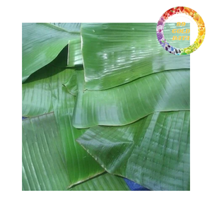 Feuilles de bananier congelées de qualité supérieure pour la cuisine traditionnelle et l'emballage alimentaire, export en vrac du Vietnam - Product Image 5