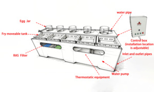 Incubadora de Huevos de Pescado/Camarón de Alta Eficiencia para Acuicultura, Circulación Automática de Agua, Incubadora de Huevos Acuáticos para Piscifactorías - Product Image 3