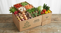 Cajas de Cartón Resistentes a Impactos, Hechas con Materiales Reciclados y Revestimiento de Cartón, Ecológicas y Reutilizables para la Agricultura