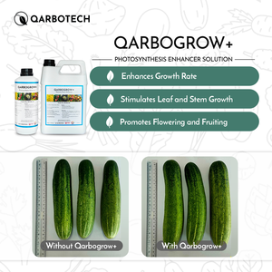 QarboGrow+ Advanced Light Use Efficiency Biological Fertilizer Crop Booster 99% Purity for Agriculture Yield Optimization - Product Image 2