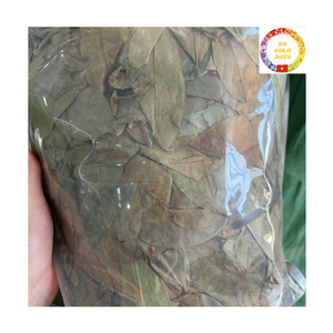 วัตถุดิบชาสมุนไพร |   ใบชื่นชมพู่ออร์แกนิก ขายส่งจำนวนมาก รับผลิตแบบ OEM เวียดนาม - Product Image 6