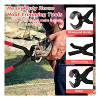Kit d'outils de fermeur professionnel Jackbilly Enterprises en acier inoxydable pour l'entretien des sabots de cheval, ensemble de coupe de sabots robuste certifié CE